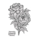 Chloe’s Creative Cards Peony Die & Stamp Set – Illustrated Peony Stamps with Coordinating Metal Dies - Craftywaftyshop
