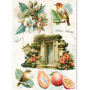 Ciao Bella Paper - Asia Diary - A5 Rice Paper (mixed x8) | CBRS044 - Craftywaftyshop