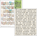 Ciao Bella Paper - The Sound of Spring - Mixed Media Book - Craftywaftyshop