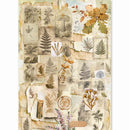 Ciao Bella The Nature Journal A5 Rice Paper Mixed | CBRS049 - Craftywaftyshop