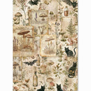 Ciao Bella The Witch's Grimoire A5 Rice Paper | CBRS048 - Craftywaftyshop