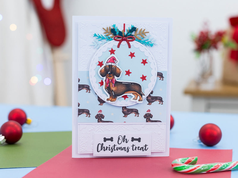 Crafter’s Companion Santa Paws 4”x6” 2D Embossing Folder - Snowflakes & Paws - Craftywaftyshop