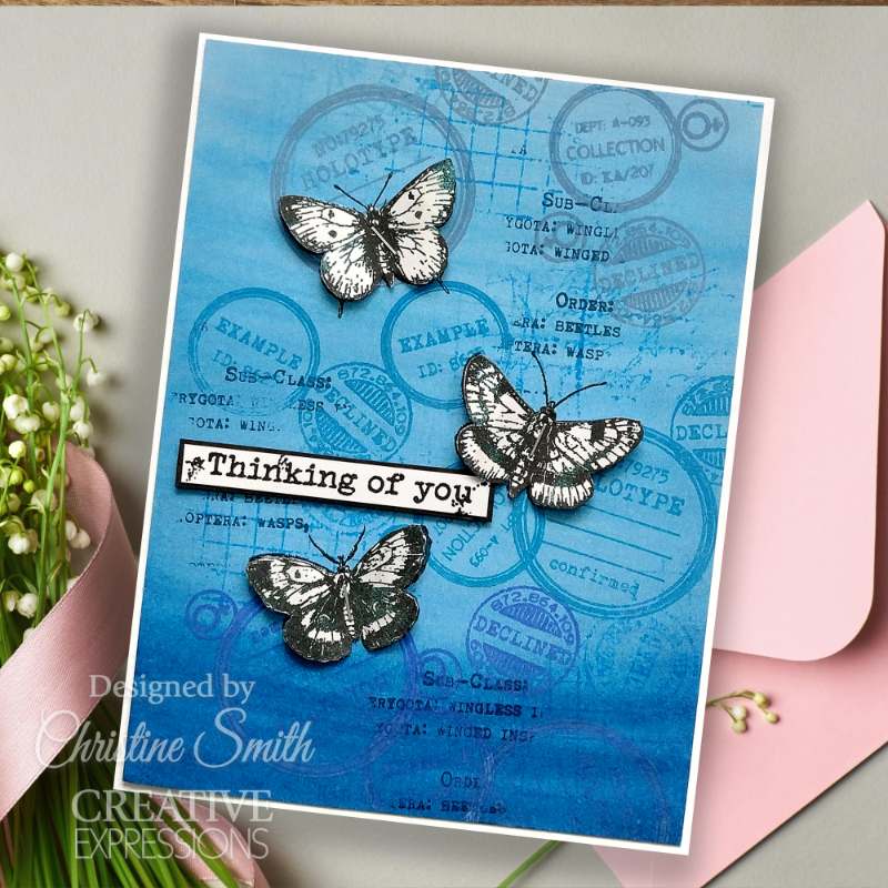 Creative Expressions Tracie Fox Passport Background 4 in x 6 in Clear Stamp Set - Craftywaftyshop