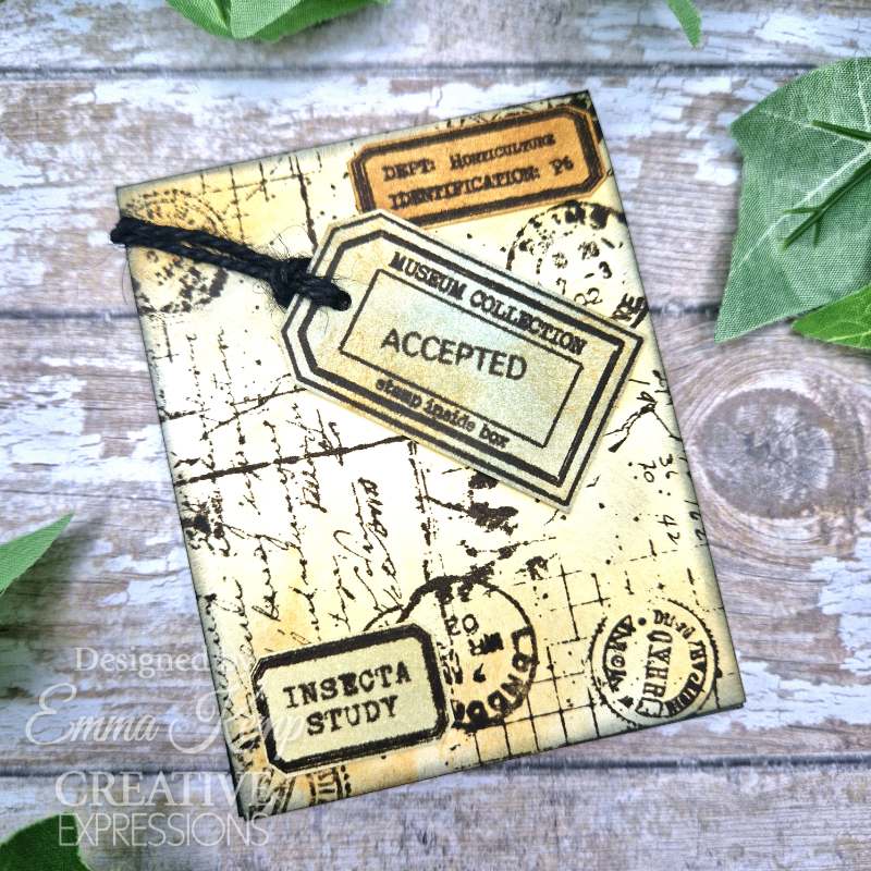 Creative Expressions Tracie Fox Passport Background 4 in x 6 in Clear Stamp Set - Craftywaftyshop