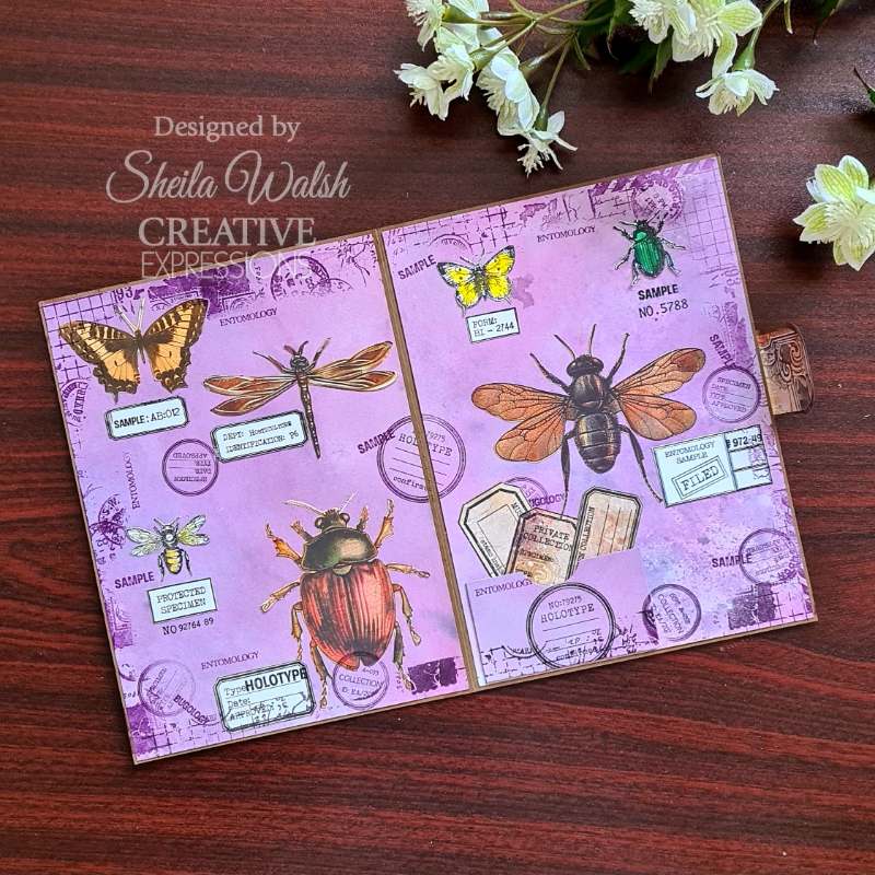 Creative Expressions Tracie Fox Passport Background 4 in x 6 in Clear Stamp Set - Craftywaftyshop