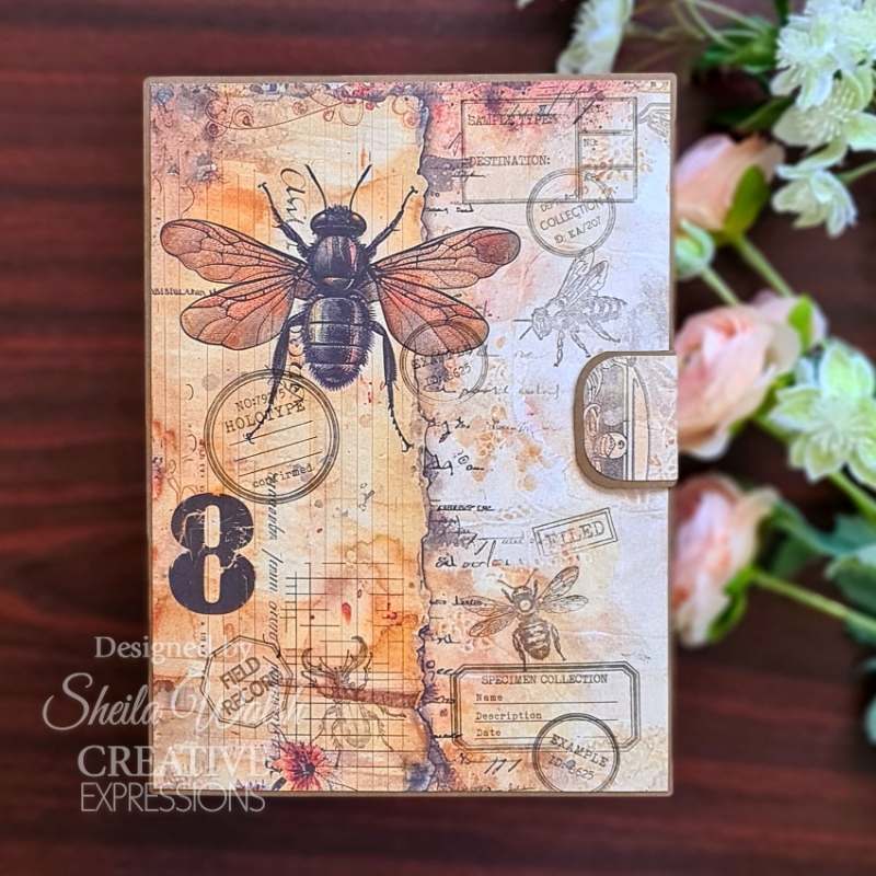 Creative Expressions Tracie Fox Passport Background 4 in x 6 in Clear Stamp Set - Craftywaftyshop