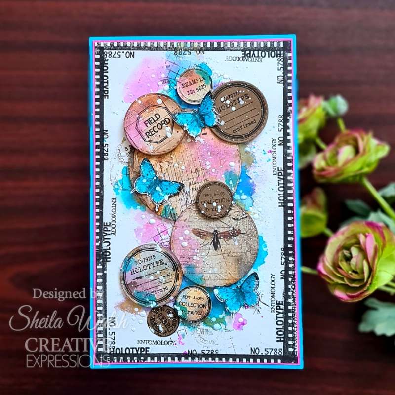 Creative Expressions Tracie Fox Passport Background 4 in x 6 in Clear Stamp Set - Craftywaftyshop