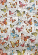 Deluxe Majestic Dream Paper Silver A4 5 Sheets by Ciao Bella - Craftywaftyshop