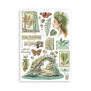 Herbarium Silvae Washi Pad by Stamperia - Craftywaftyshop