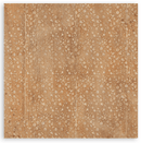 Stamperia 12x12 Scrapbooking Pad – All Around (Double - Sided) | SBBL187 - Craftywaftyshop