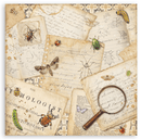 Stamperia 12x12 Scrapbooking Pad – All Around (Double - Sided) | SBBL187 - Craftywaftyshop