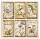 Stamperia 12x12 Scrapbooking Pad – All Around (Double - Sided) | SBBL187 - Craftywaftyshop