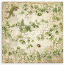 Stamperia 12x12 Scrapbooking Pad – All Around (Double - Sided) | SBBL187 - Craftywaftyshop