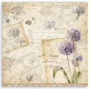 Stamperia 12x12 Scrapbooking Pad – All Around (Double - Sided) | SBBL187 - Craftywaftyshop