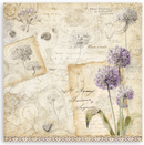 Stamperia 12x12 Scrapbooking Pad – All Around | SBBXLB37 - Craftywaftyshop