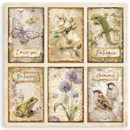 Stamperia 12x12 Scrapbooking Pad – All Around | SBBXLB37 - Craftywaftyshop