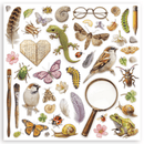 Stamperia 12x12 Scrapbooking Pad – All Around | SBBXLB37 - Craftywaftyshop
