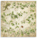 Stamperia 12x12 Scrapbooking Pad – All Around | SBBXLB37 - Craftywaftyshop