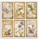 Stamperia 8x8 Double Sided Scrapbooking Pad - All Around | SBBS143 - Craftywaftyshop