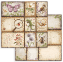 Stamperia 8x8 Double Sided Scrapbooking Pad - All Around | SBBS143 - Craftywaftyshop