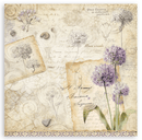 Stamperia 8x8 Double Sided Scrapbooking Pad - All Around | SBBS143 - Craftywaftyshop