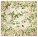 Stamperia 8x8 Double Sided Scrapbooking Pad - All Around | SBBS143 - Craftywaftyshop