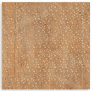 Stamperia 8"x8" Single Faced Scrapbooking Pad - All Around | SBBSXB25 - Craftywaftyshop