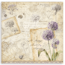 Stamperia 8"x8" Single Faced Scrapbooking Pad - All Around | SBBSXB25 - Craftywaftyshop