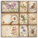 Stamperia 8"x8" Single Faced Scrapbooking Pad - All Around | SBBSXB25 - Craftywaftyshop