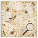 Stamperia 8"x8" Single Faced Scrapbooking Pad - All Around | SBBSXB25 - Craftywaftyshop