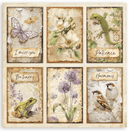 Stamperia 8"x8" Single Faced Scrapbooking Pad - All Around | SBBSXB25 - Craftywaftyshop
