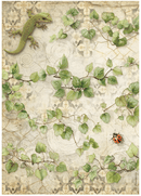 Stamperia A4 Rice Paper Selection - All Around | DFSA4XAR - Craftywaftyshop