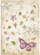 Stamperia A4 Rice Paper Selection - All Around | DFSA4XAR - Craftywaftyshop