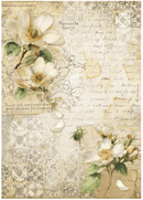 Stamperia A4 Rice Paper Selection - All Around | DFSA4XAR - Craftywaftyshop