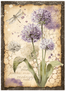Stamperia A6 Mini Rice Paper Selection - All Around | DFSA6X06 - Craftywaftyshop