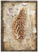 Stamperia A6 Mini Rice Paper Selection - All Around | DFSA6X06 - Craftywaftyshop