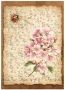 Stamperia A6 Mini Rice Paper Selection - All Around | DFSA6X06 - Craftywaftyshop
