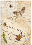 Stamperia Junk Journal Focus Points A5 – All Around | SPSBJKS02 - Craftywaftyshop