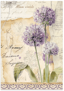 Stamperia Junk Journal Focus Points A5 – All Around | SPSBJKS02 - Craftywaftyshop