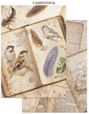 Stamperia Junk Journal Focus Points A5 – All Around | SPSBJKS02 - Craftywaftyshop