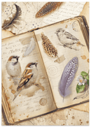 Stamperia Junk Journal Focus Points A5 – All Around | SPSBJKS02 - Craftywaftyshop