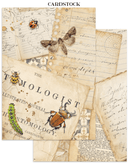 Stamperia Junk Journal Focus Points A5 – All Around | SPSBJKS02 - Craftywaftyshop