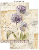 Stamperia Junk Journal Focus Points A5 – All Around | SPSBJKS02 - Craftywaftyshop