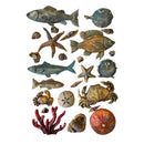 Stamperia - Silent Sea - A5 silicon mould - Shells and Fish - Craftywaftyshop