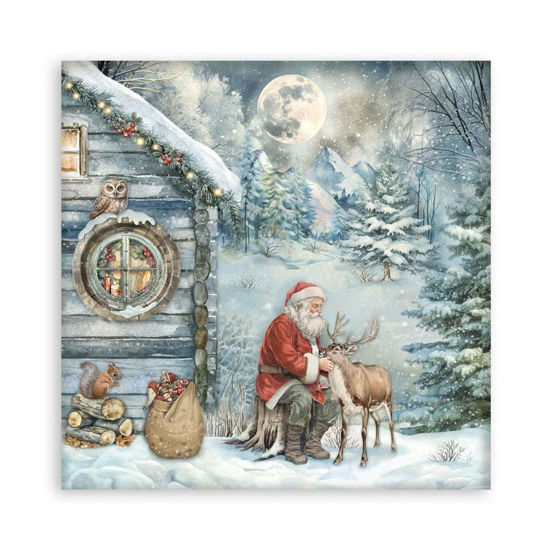 Stamperia - The Owl's House - 12"x12" Single Face Scrapbooking Pad - Craftywaftyshop