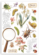 Stamperia Washi Pad A5 – All Around | SPSBW33 - Craftywaftyshop