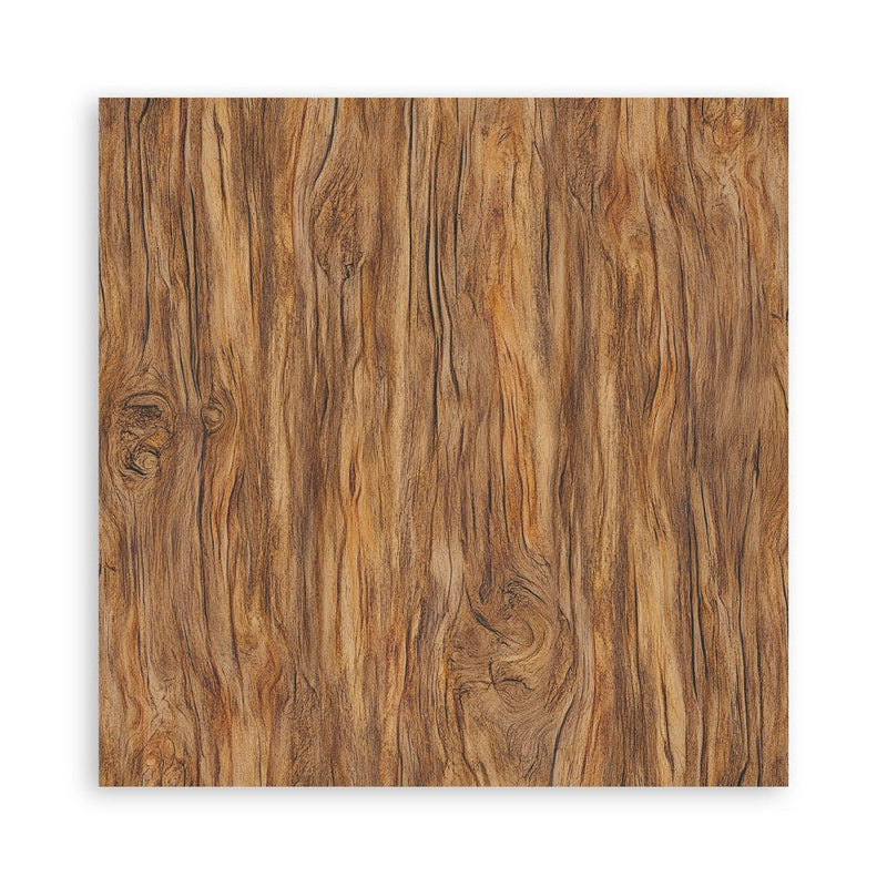 Stamperia - Whispering Woods - 8" x 8" single sided scrapbooking pad - Craftywaftyshop