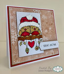 Woodware Woolly Hat Robins A6 Clear Stamp Set by Françoise Read - Craftywaftyshop