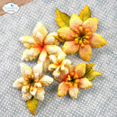 Florals 20 Die Set by Elizabeth Craft Designs - Craftywaftyshop