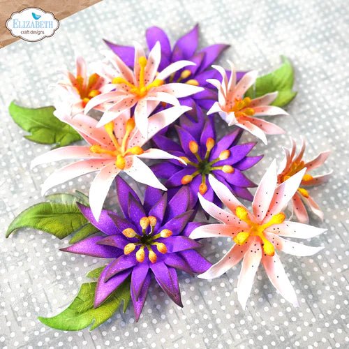 Florals 22 Die Set by Elizabeth Craft Designs - Craftywaftyshop